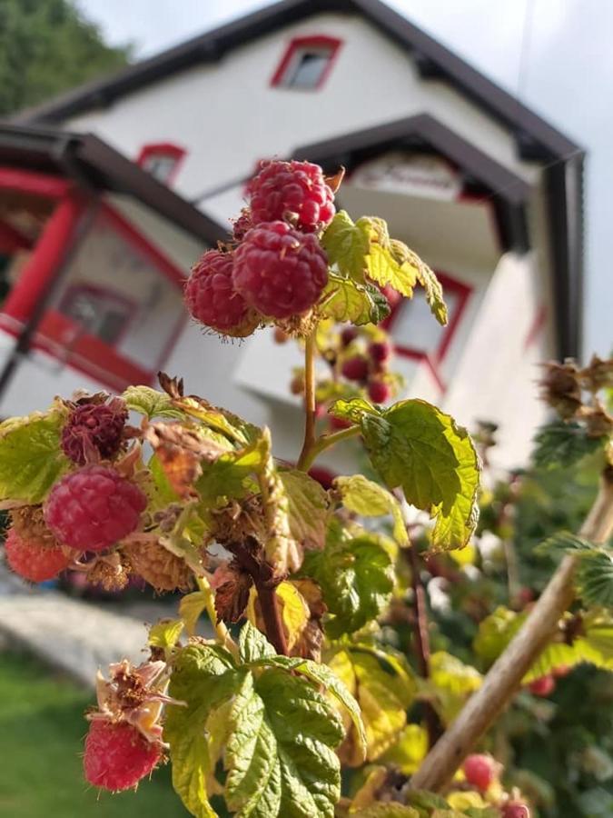 Villa Jelena Mavrovo-Nationalpark Exterior foto